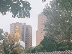 -护国法轮寺