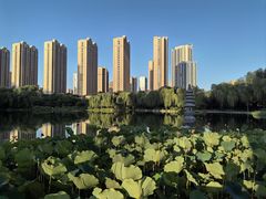 -木塔寺遗址生态公园
