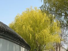 -红花点心局(护国寺店)
