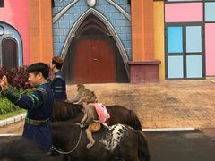 -灵玲国际马戏城