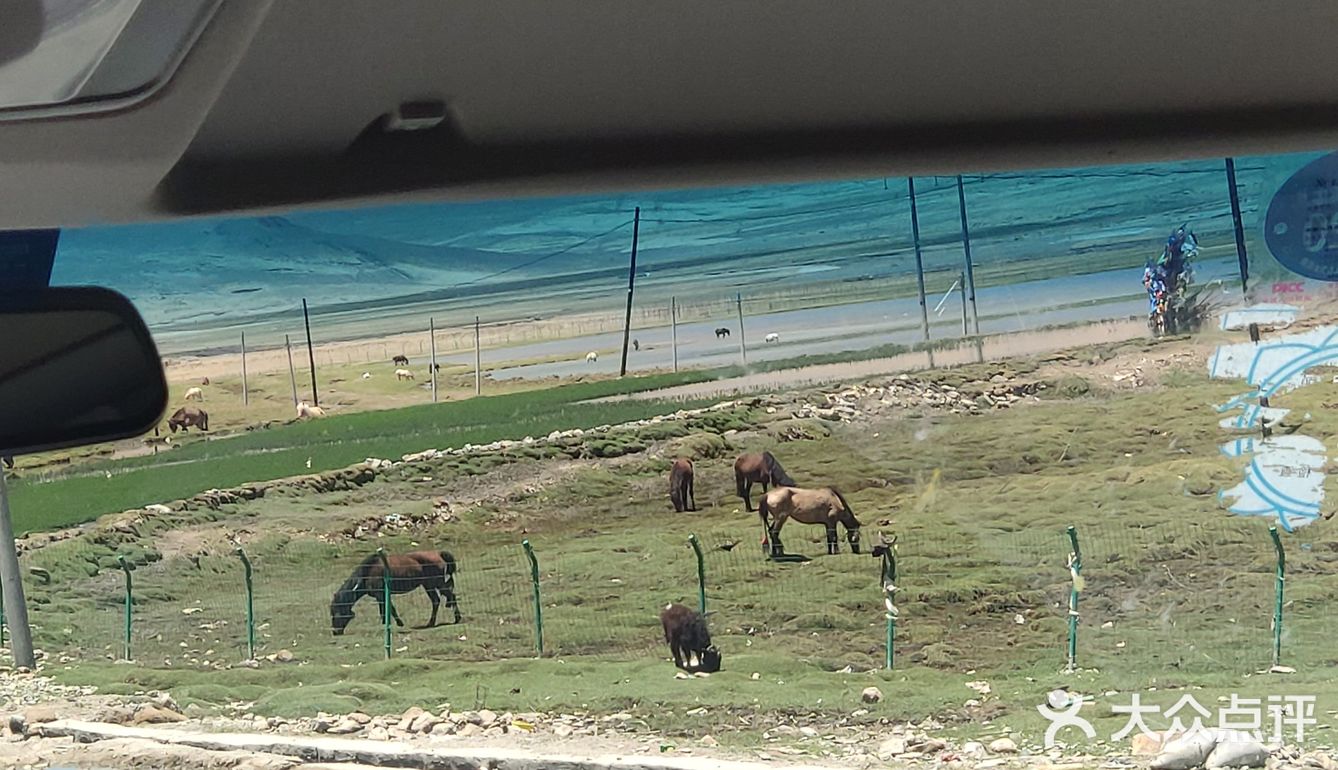 我在日喀则挺好的，无非也就是头晕头痛失眠耳鸣四肢无力。。。