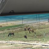 我在日喀则挺好的，无非也就是头晕头痛失眠耳鸣四肢无力。。。