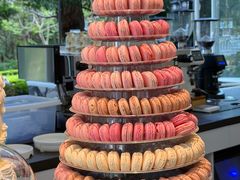 -名点荟·生日蛋糕·下午茶(五缘湾店)