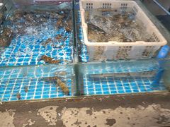-争先鲜·蒸汽海鲜自助·鲜切牛肉