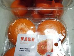 -坂田天虹