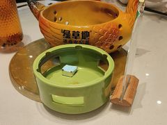 -绿草地·湘菜(芙蓉天街店)