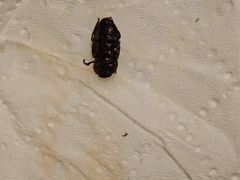 -上和臻品中国菜(花园街店)