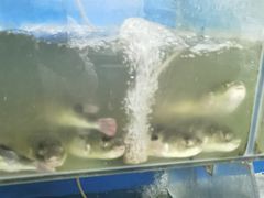 -瀏河老街土菜館(浏河店)