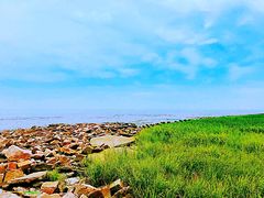 -南汇嘴观海公园