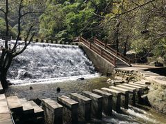 -少华山国家森林公园