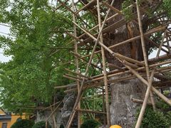 -圆通寺