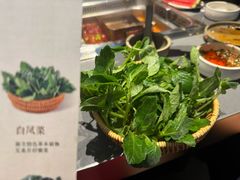 -巴奴毛肚火锅(悠唐购物中心店)