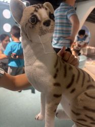 -MINI MARS KIDS CLUB亲子家庭中心(长宁天山店)