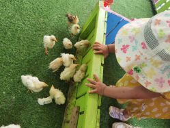 -萌宠亲子动物乐园(槐房万达店)