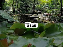 -望江楼公园