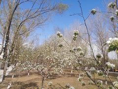 -吉林大学(前卫南区)