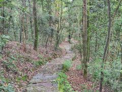 -岳麓山风景名胜区