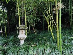 -杭州西湖风景名胜区-三生石