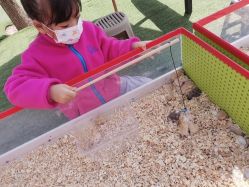 -萌宠亲子动物乐园(槐房万达店)