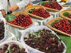 -南坛综合农贸市场