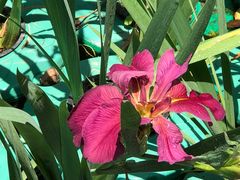 -常州古运河南大街文化旅游区-人民公园