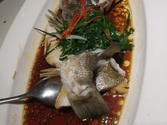 -院里寻菜·精致庭院菜(观沙岭店)