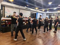 -温鉴良实用咏春拳