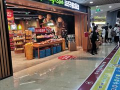 -三只松鼠