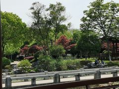 -金银湖国家城市湿地公园