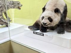 -国家自然博物馆