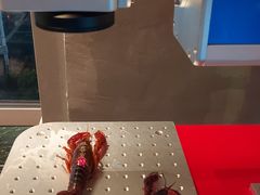 -王红军龙虾(盐仓桥店)