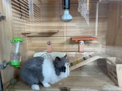 -小意思咖啡店(草桥店)