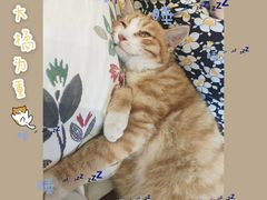 -甲乙丁書店·书茶咖·四合院
