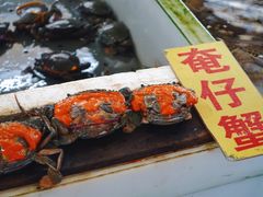 -大湾区中央湿地公园-十九涌