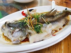 清蒸白鲫-烧鹅妹饭店