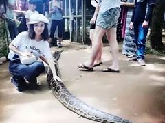 -清迈夜间动物园