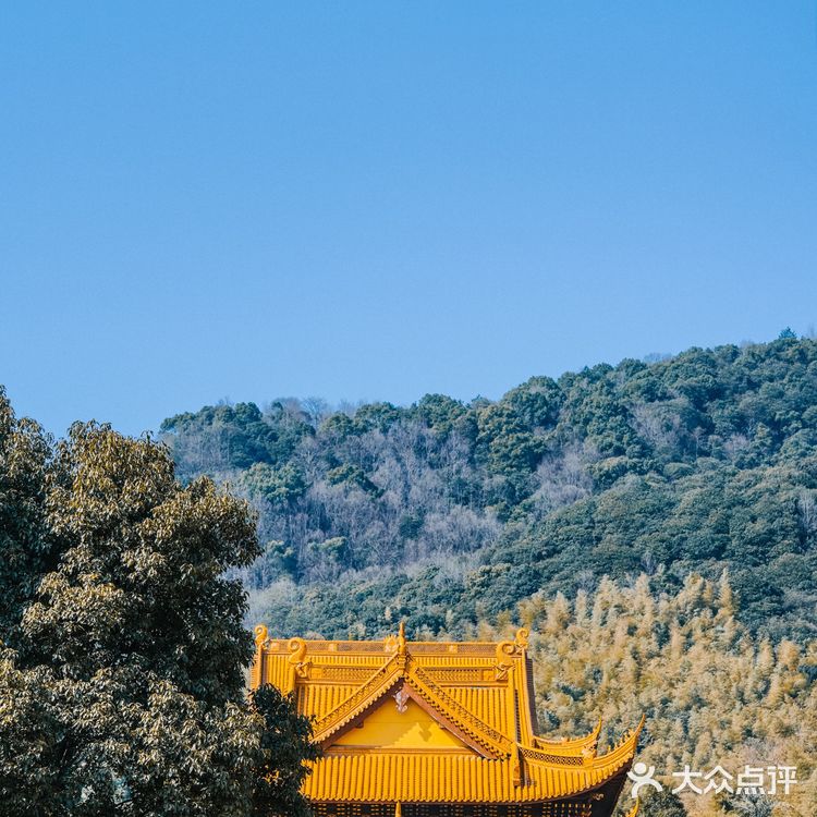 宁波|慧日禅寺,99.9%的人都不知道的小众寺庙
