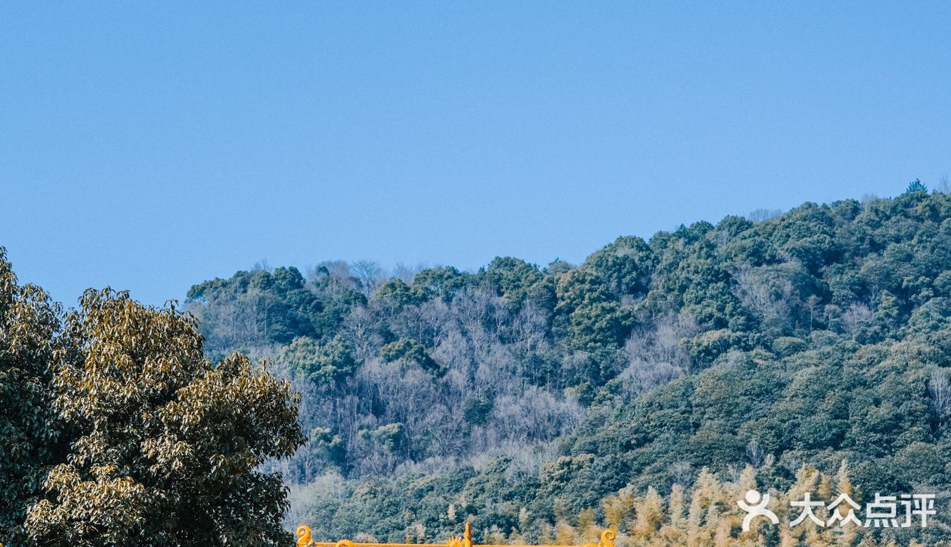 宁波｜慧日禅寺，99.9%的人都不知道的小众寺庙