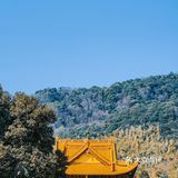 宁波｜慧日禅寺，99.9%的人都不知道的小众寺庙