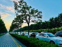 -东堤公园