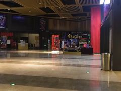 -万达影城(闵行颛桥万达广场杜比影院店)