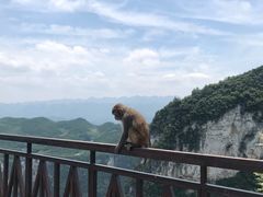 -重庆云阳龙缸景区