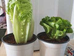 -盒马鲜生(顺义店)