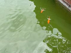 -晓港公园
