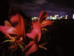 -南宁南湖公园