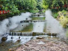 -广州白江湖森林公园