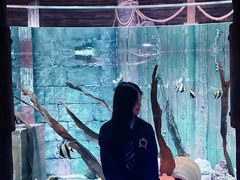 -沈阳海洋探索中心