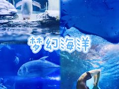 -华夏文旅西安度假区