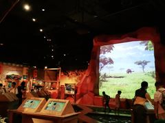 -珠海横琴国家地理探险家中心(创新方)