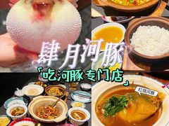 -肆月河豚·淮扬菜·湘菜(华天店)